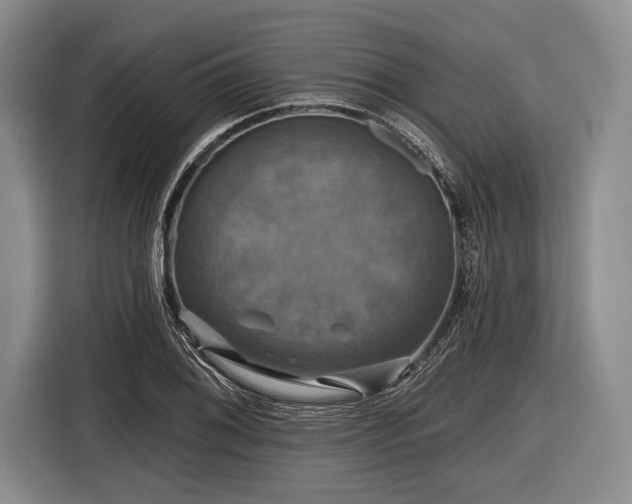 X0000116591076200912171548