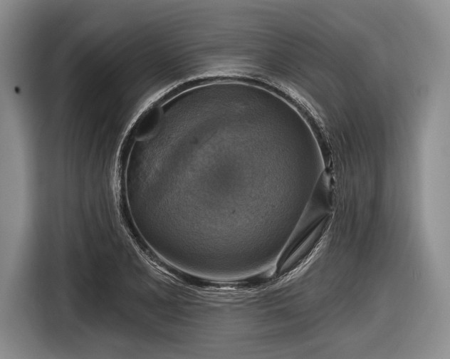 X0000116591077200912171548