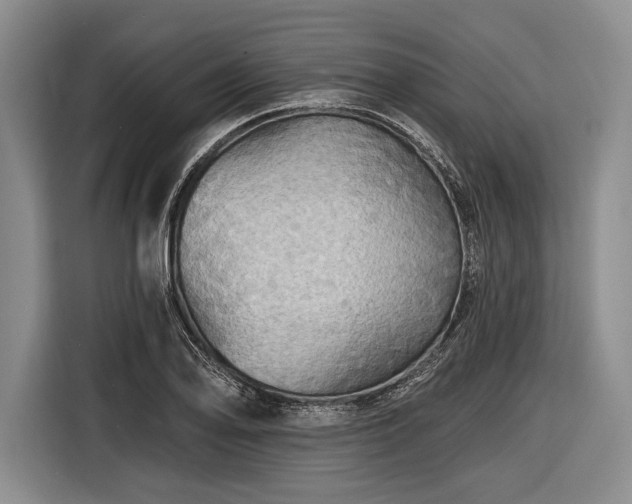 X0000116591078200912171548