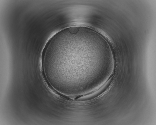 X0000116591079200912171548