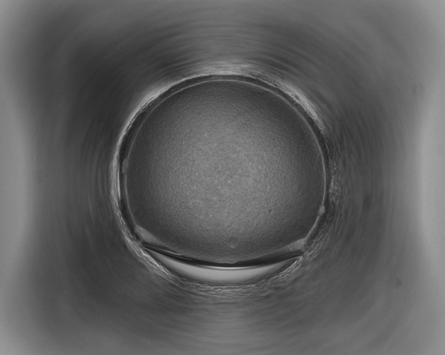 X0000116591080200912171548