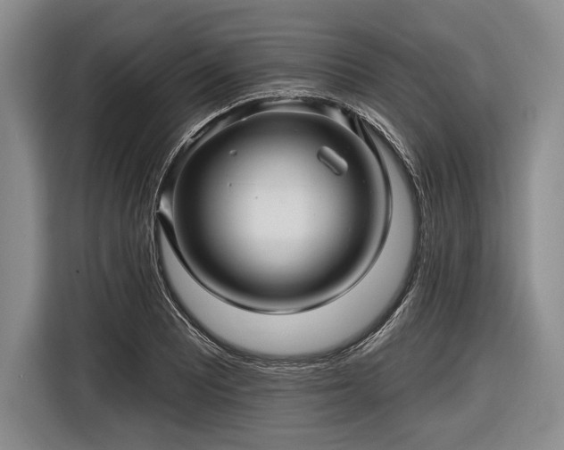 X0000116591081200912171548