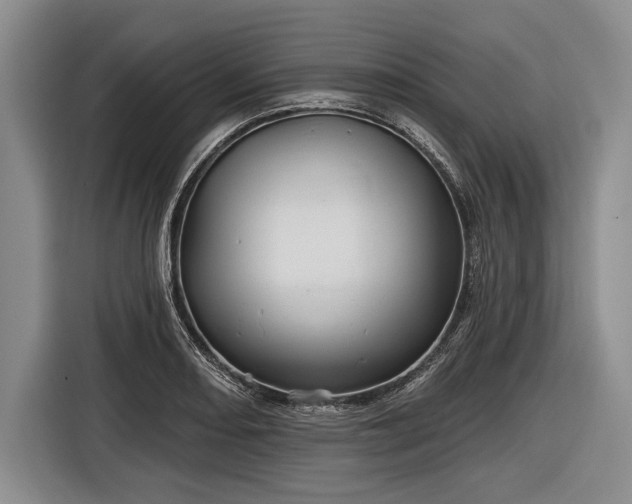 X0000116591082200912171548