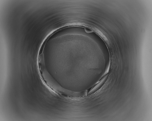 X0000116591084200912171548