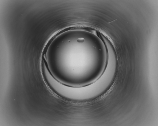 X0000116591085200912171548