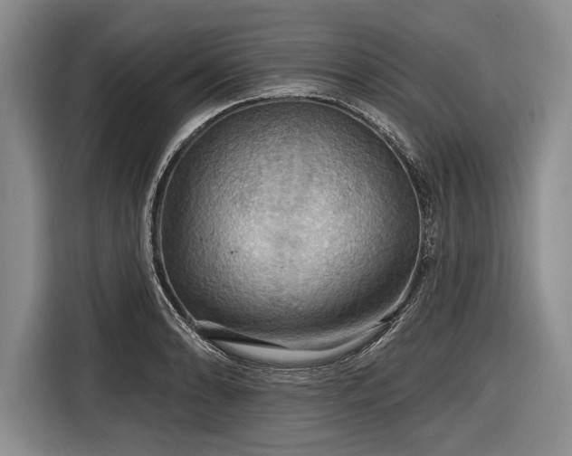 X0000116591086200912171548