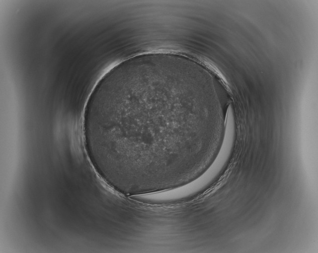 X0000116591087200912171548