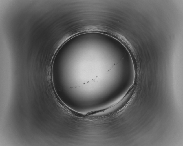 X0000116591089200912171548