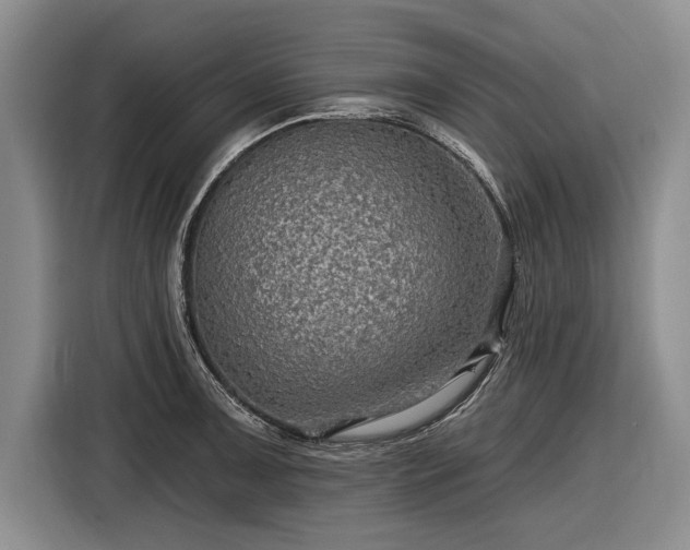 X0000116591091200912171548