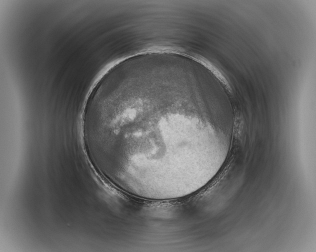 X0000116591094200912171548