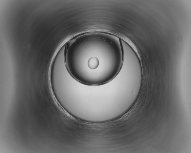 X0000116591096200912171548