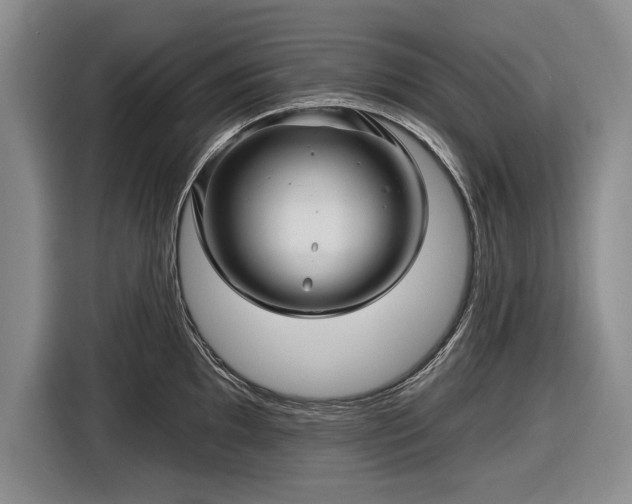 X0000116591097200912171548