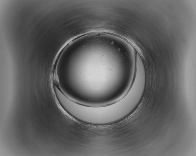 X0000116591100200912171548