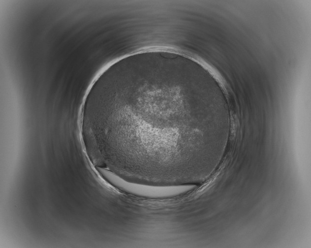 X0000116591102200912171548