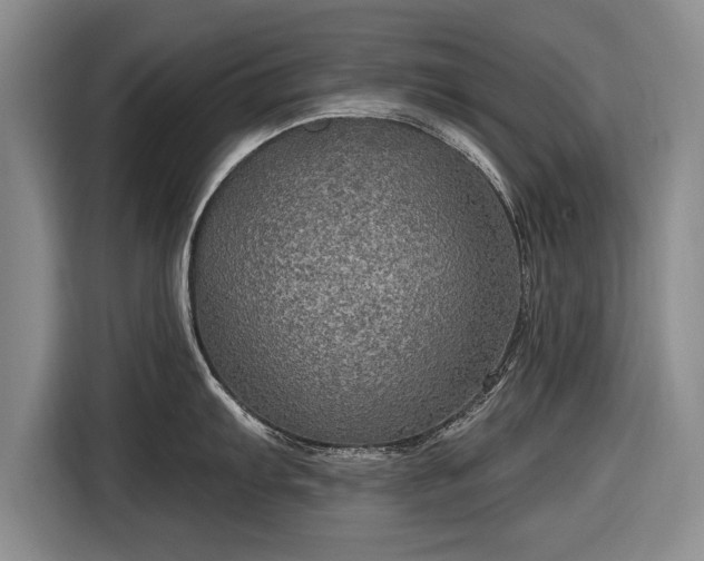 X0000116591103200912171548