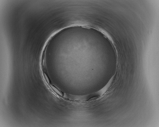 X0000116591104200912171548