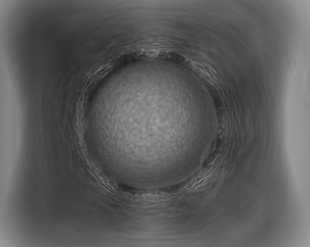 X0000116591105200912171547