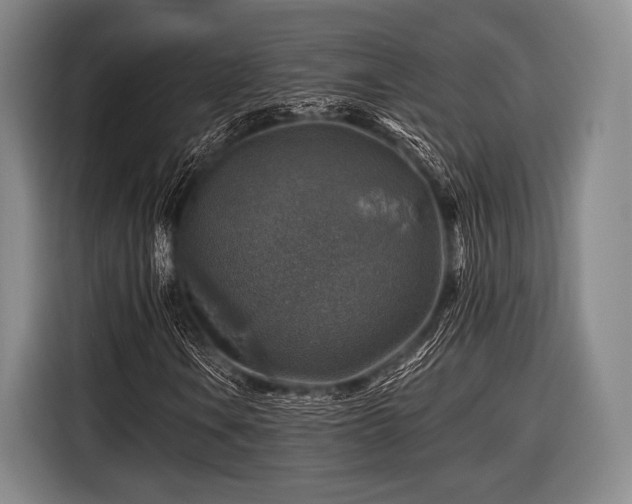 X0000116591106200912171548