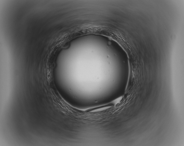 X0000116591109200912171548