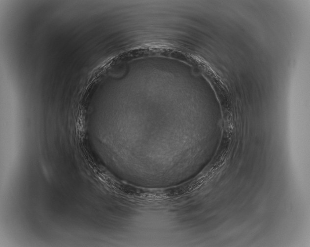 X0000116591110200912171548