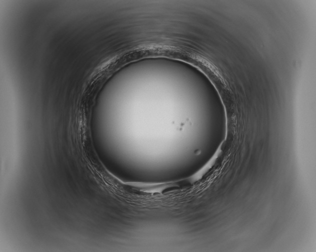 X0000116591111200912171548