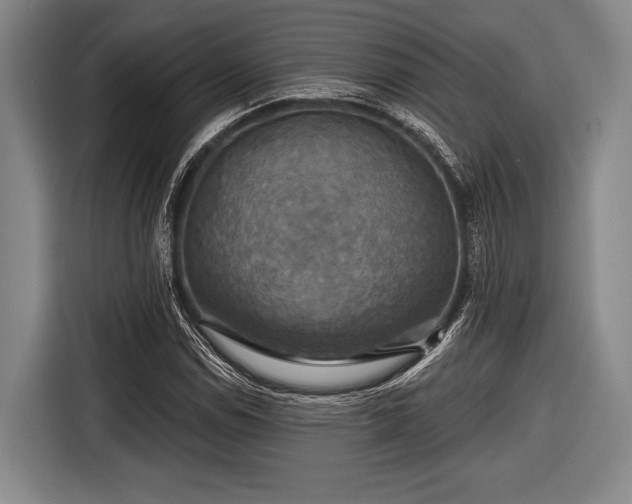 X0000116591114200912171548