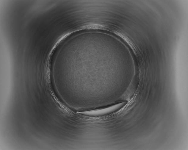 X0000116591115200912171548