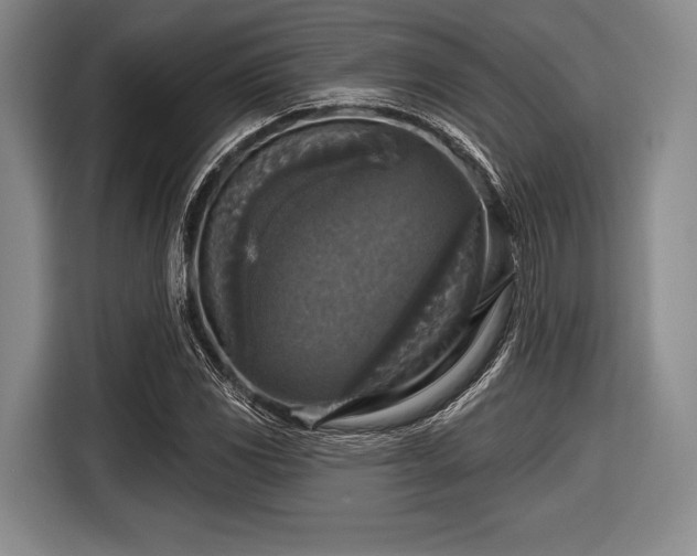 X0000116591117200912171548