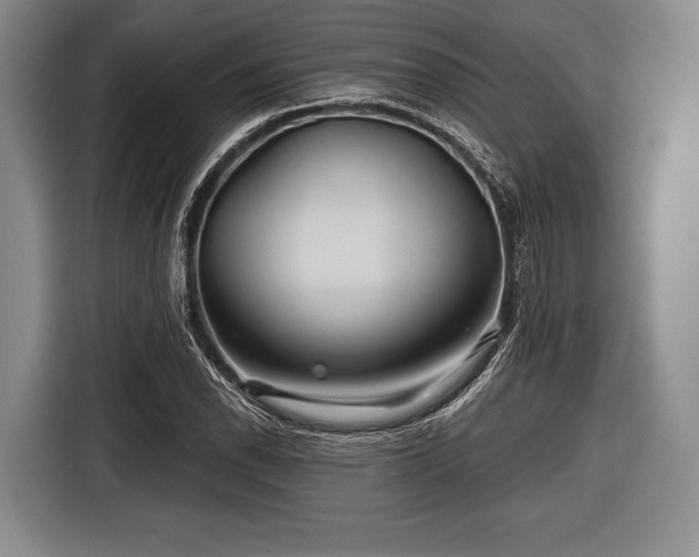 X0000116591118200912171548