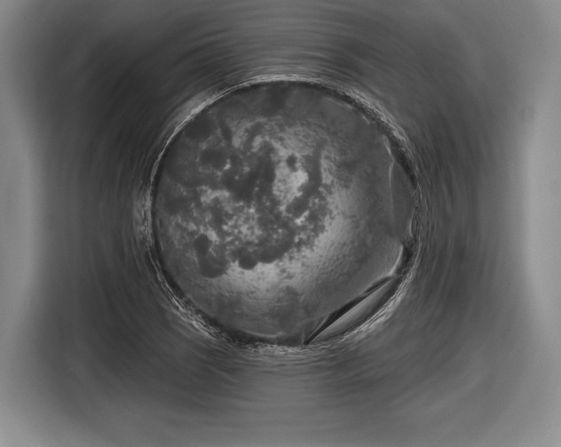 X0000116591121200912171548