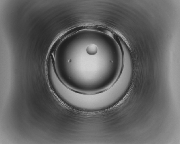 X0000116591122200912171548