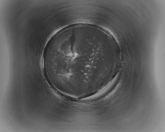 X0000116591125200912171548