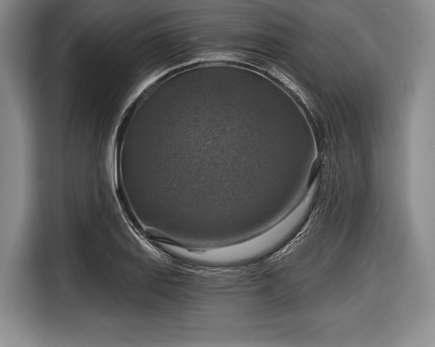 X0000116591127200912171548