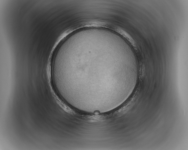 X0000116591130200912171548