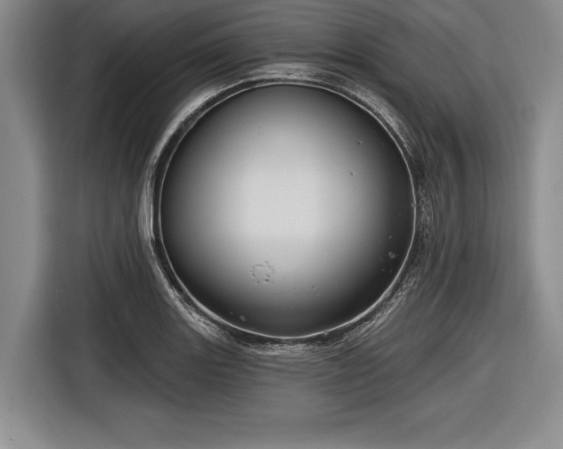 X0000116591131200912171548