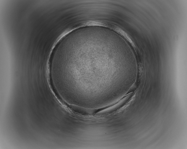 X0000116591133200912171548