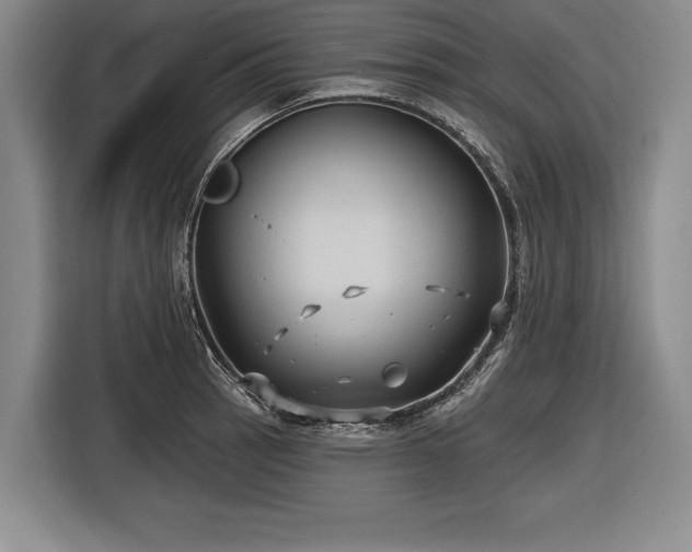 X0000116591137200912171548