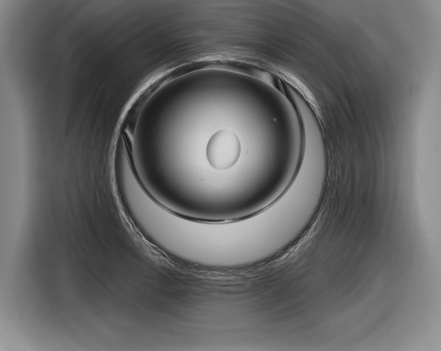 X0000116591138200912171548