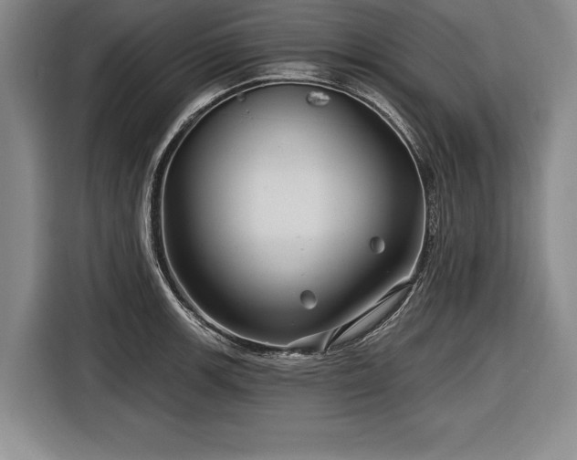 X0000116591139200912171548