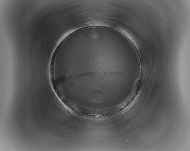 X0000116591141200912171548