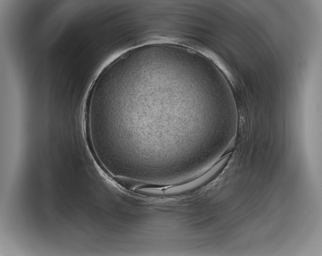 X0000116591143200912171548