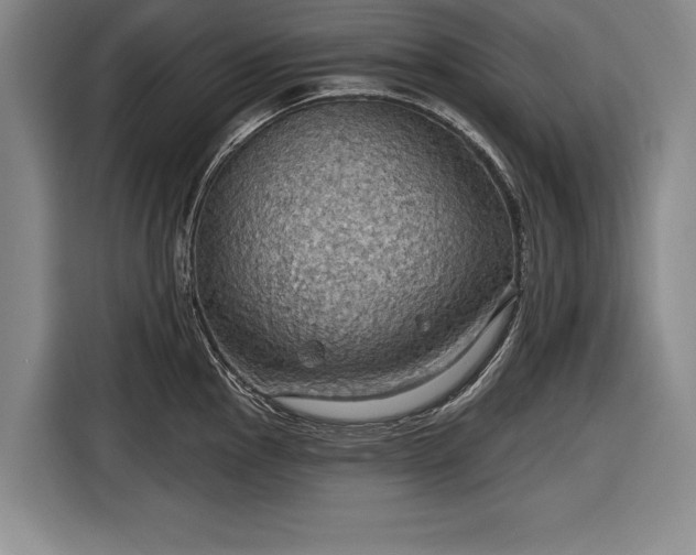 X0000116591145200912171548