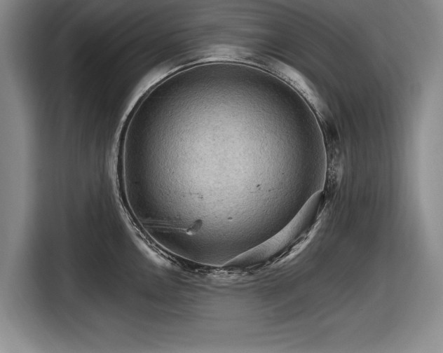 X0000116591146200912171548