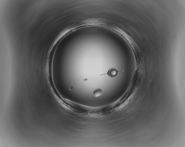 X0000116591147200912171548