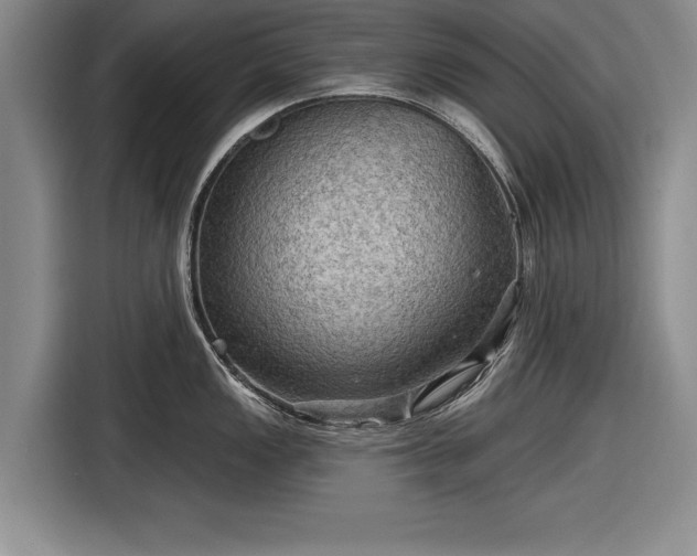 X0000116591149200912171548