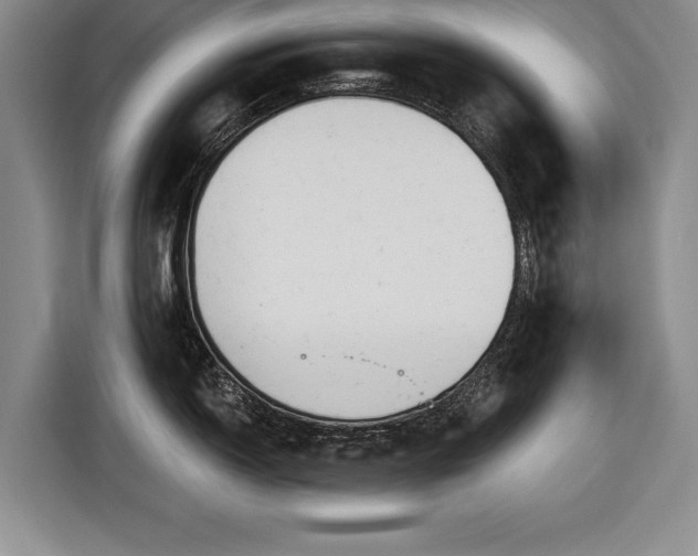 X0000116591150200912171548