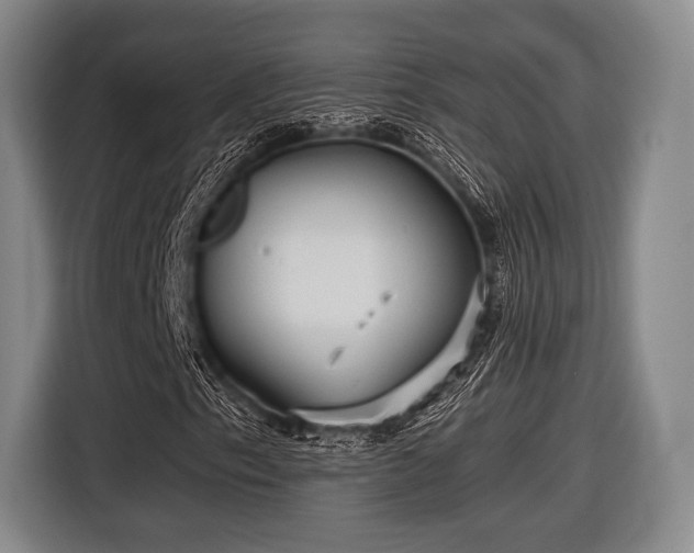 X0000116591153200912171547