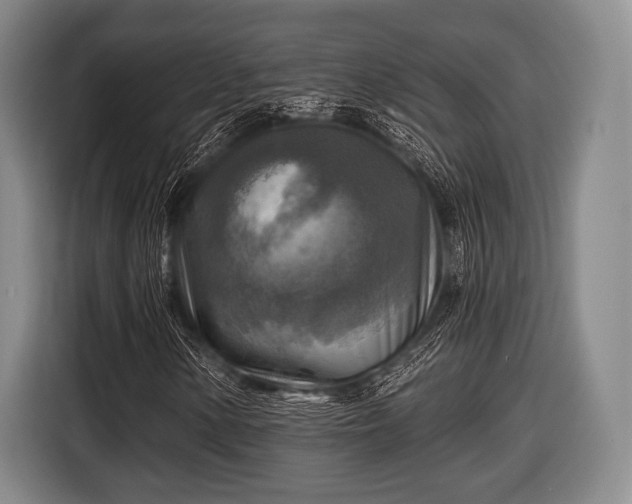 X0000116591154200912171547