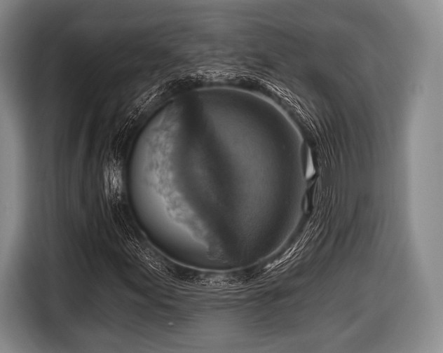 X0000116591155200912171547