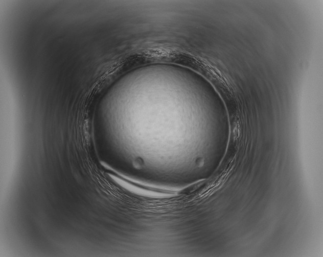 X0000116591156200912171547